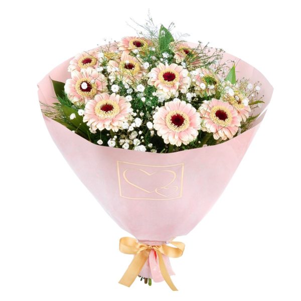 Beyaz Karanfil ve Pembe Gerbera